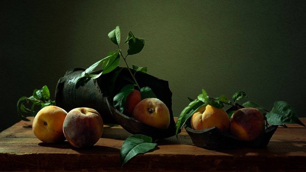, Анжелика Королева