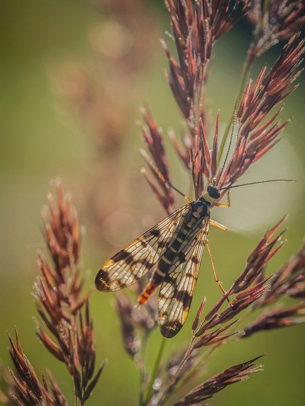 на закате фото превью