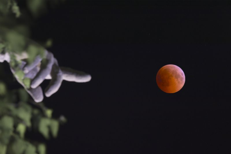 лунное затмение, lunar eclipse moon eclipse, затмение Лунное затмение на Мамаевом Кургане фото превью