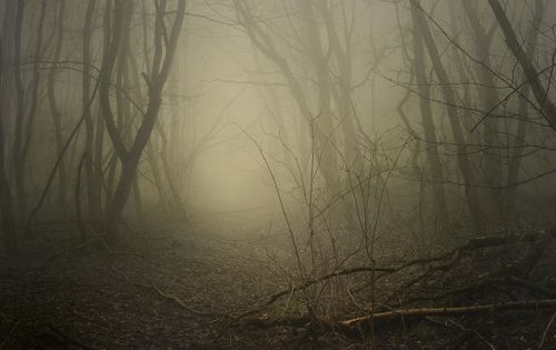 Заброшенная дорога