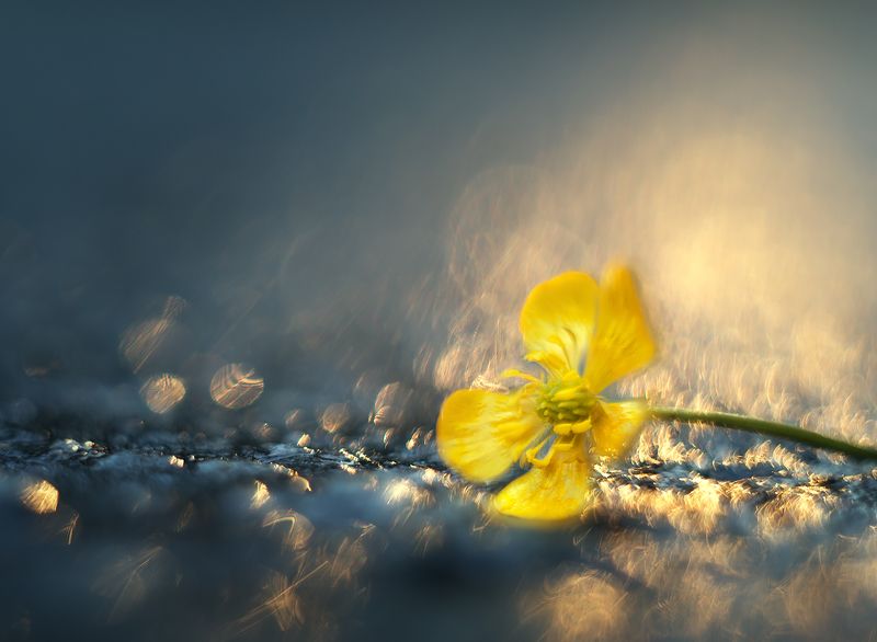 ... фото превью