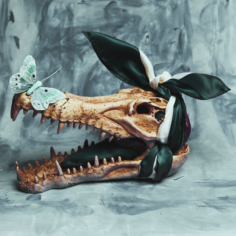 Alligator mood фото превью