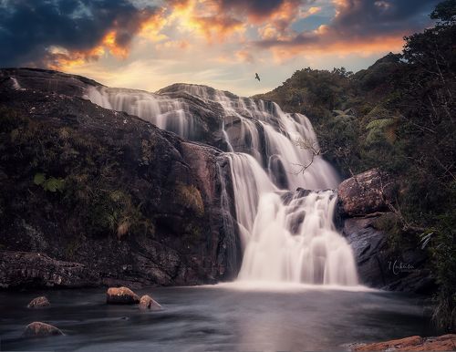Horton plains national park. Sri Lanka