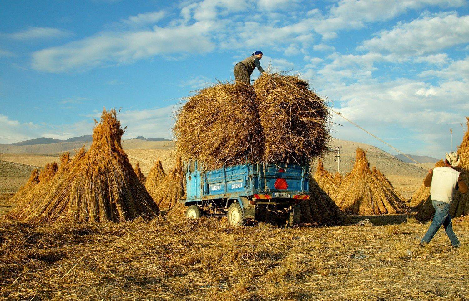 Eber Lake, hilmi ayhan