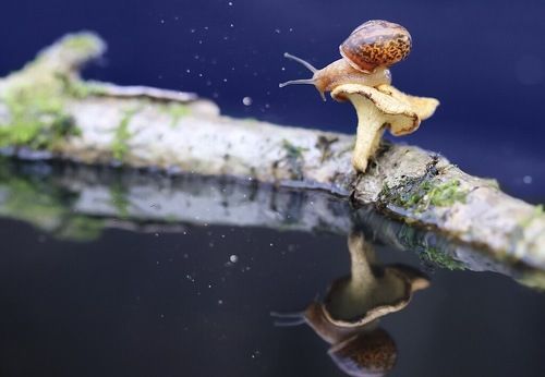 Над синей бездной 