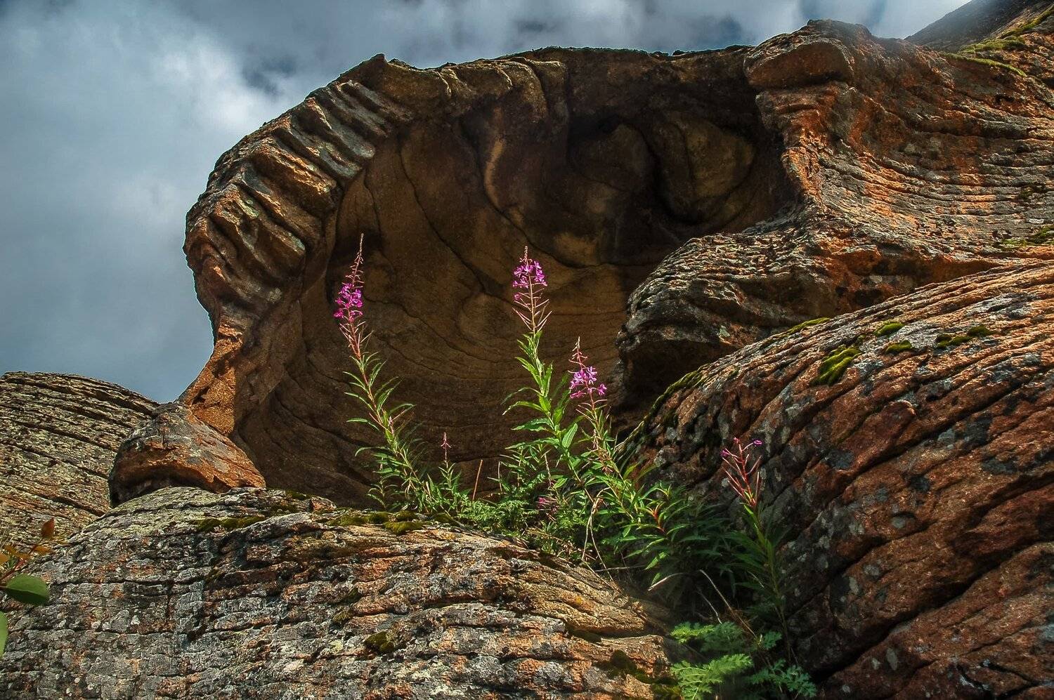 горы, Евгений Дроботенко
