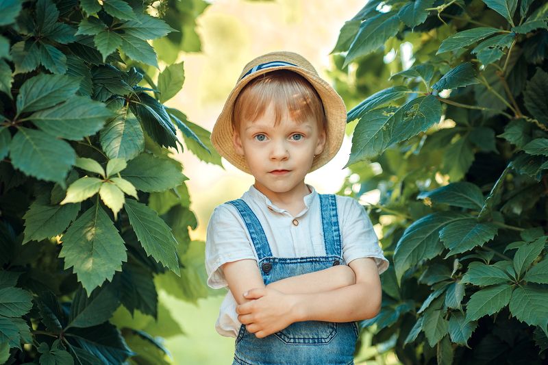 фото превью