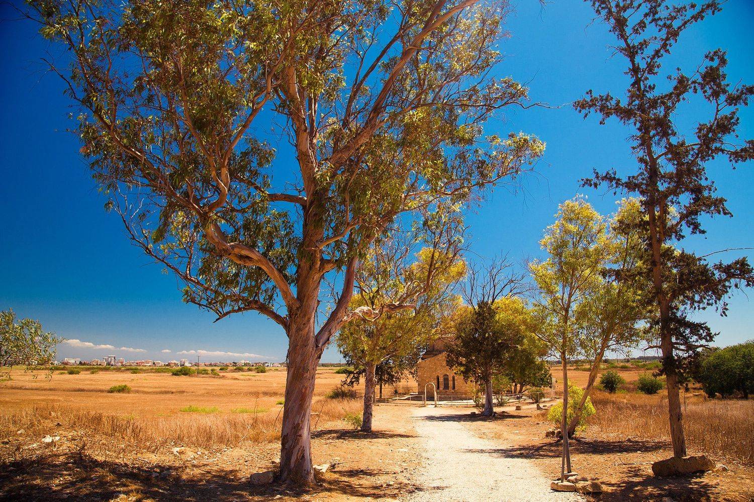 , Воробьёв Евгений