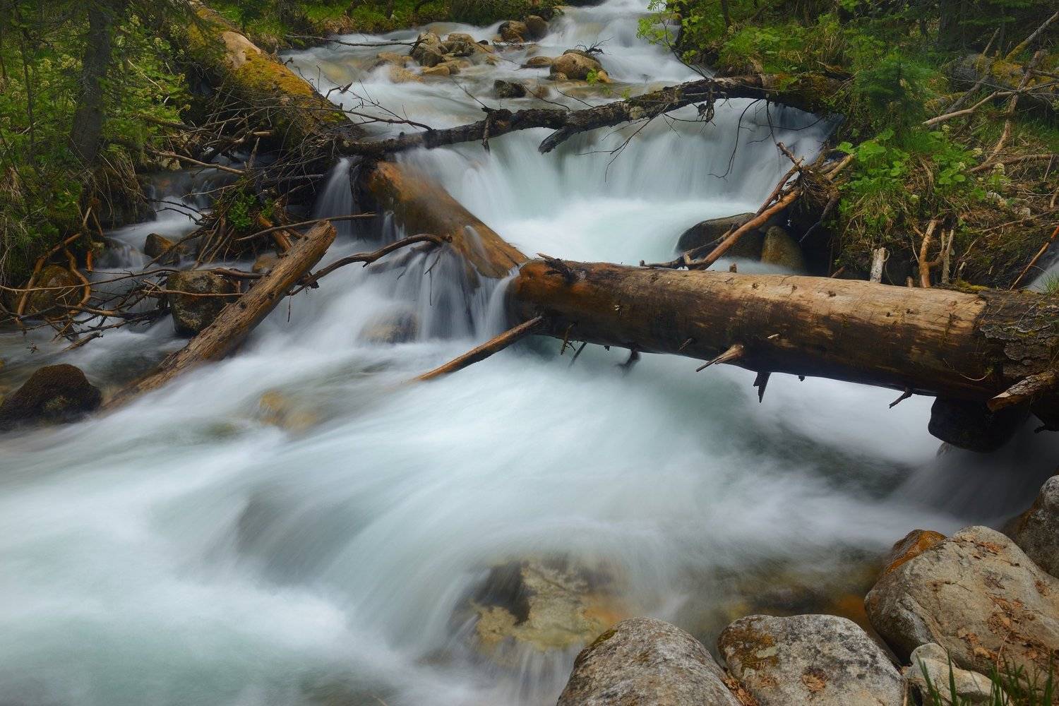 горы весна кавказ ручей архыз, Александр Жарников