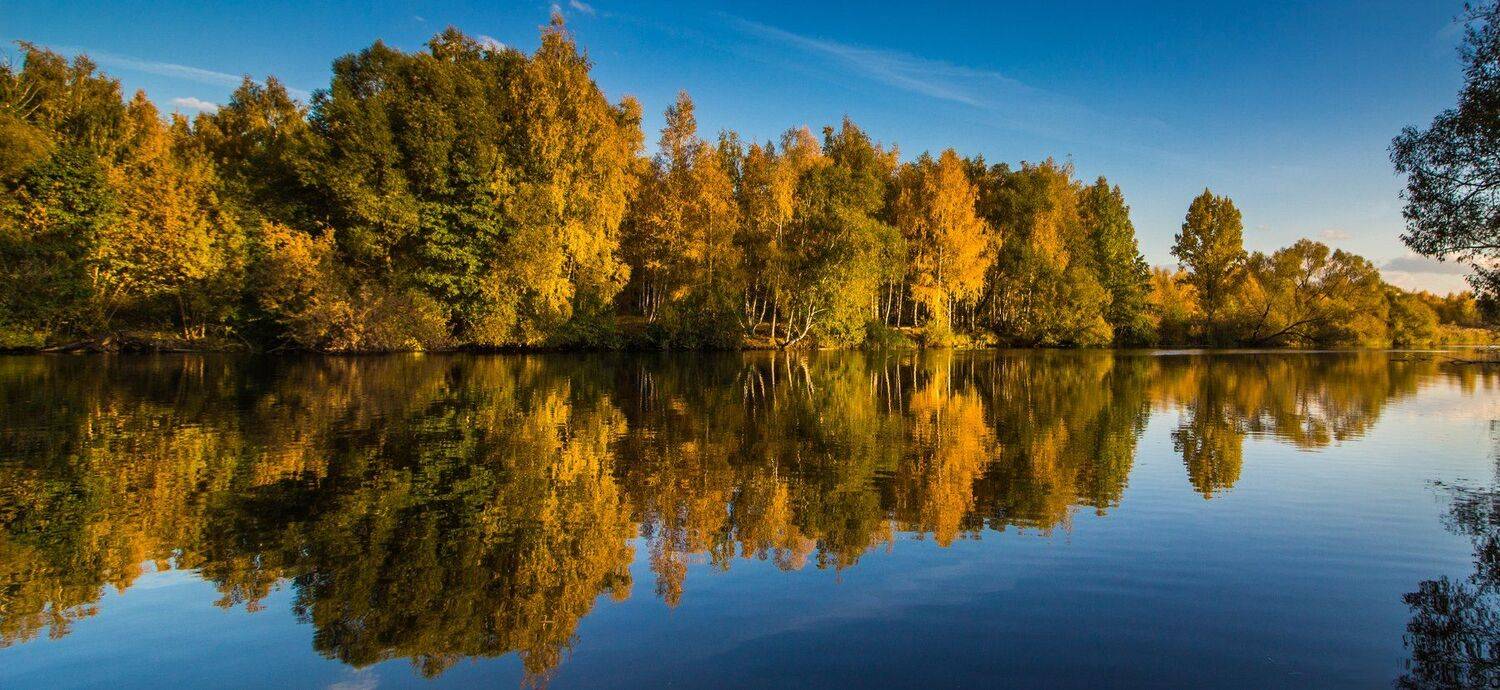 , Руслан Востриков