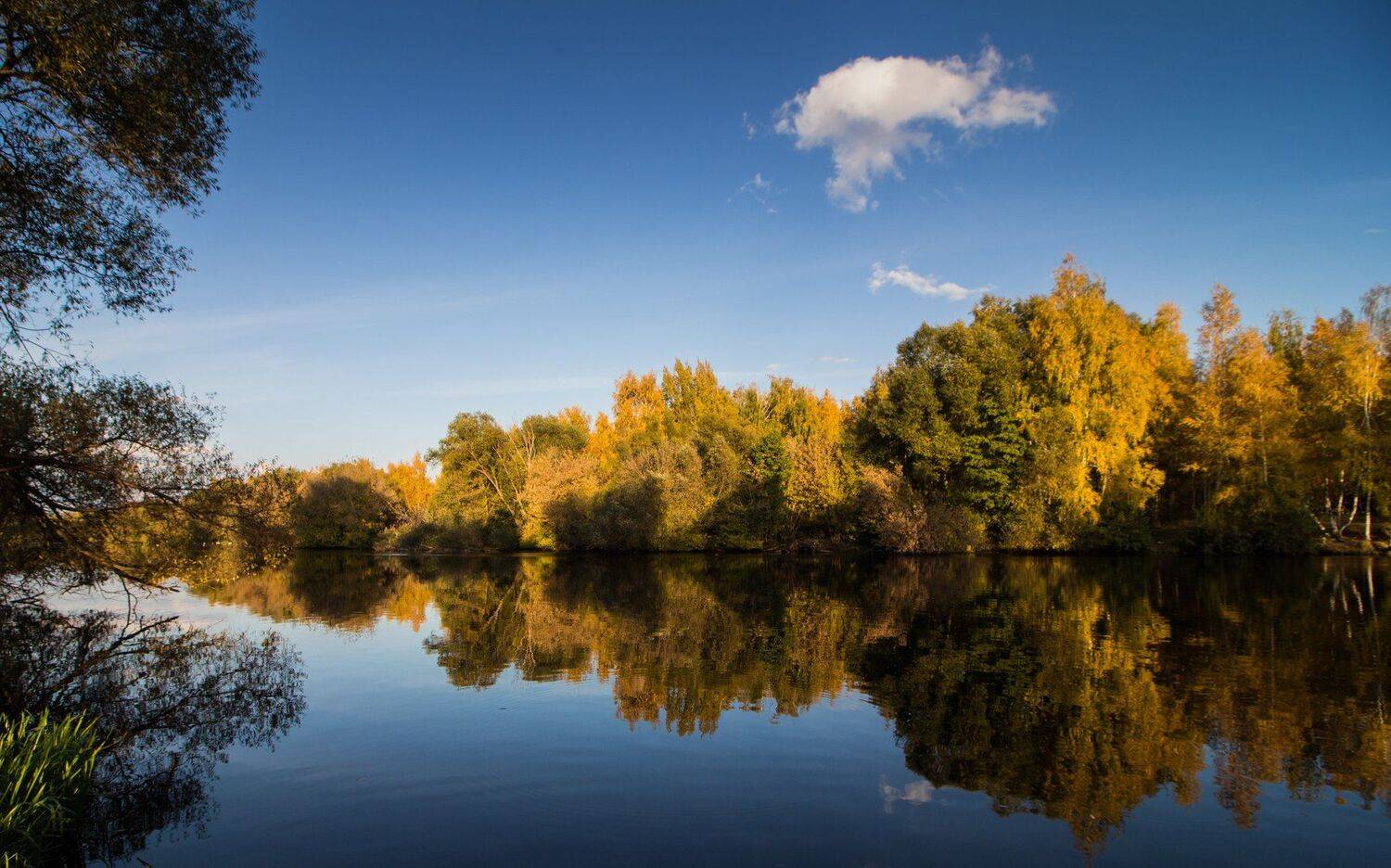 , Руслан Востриков