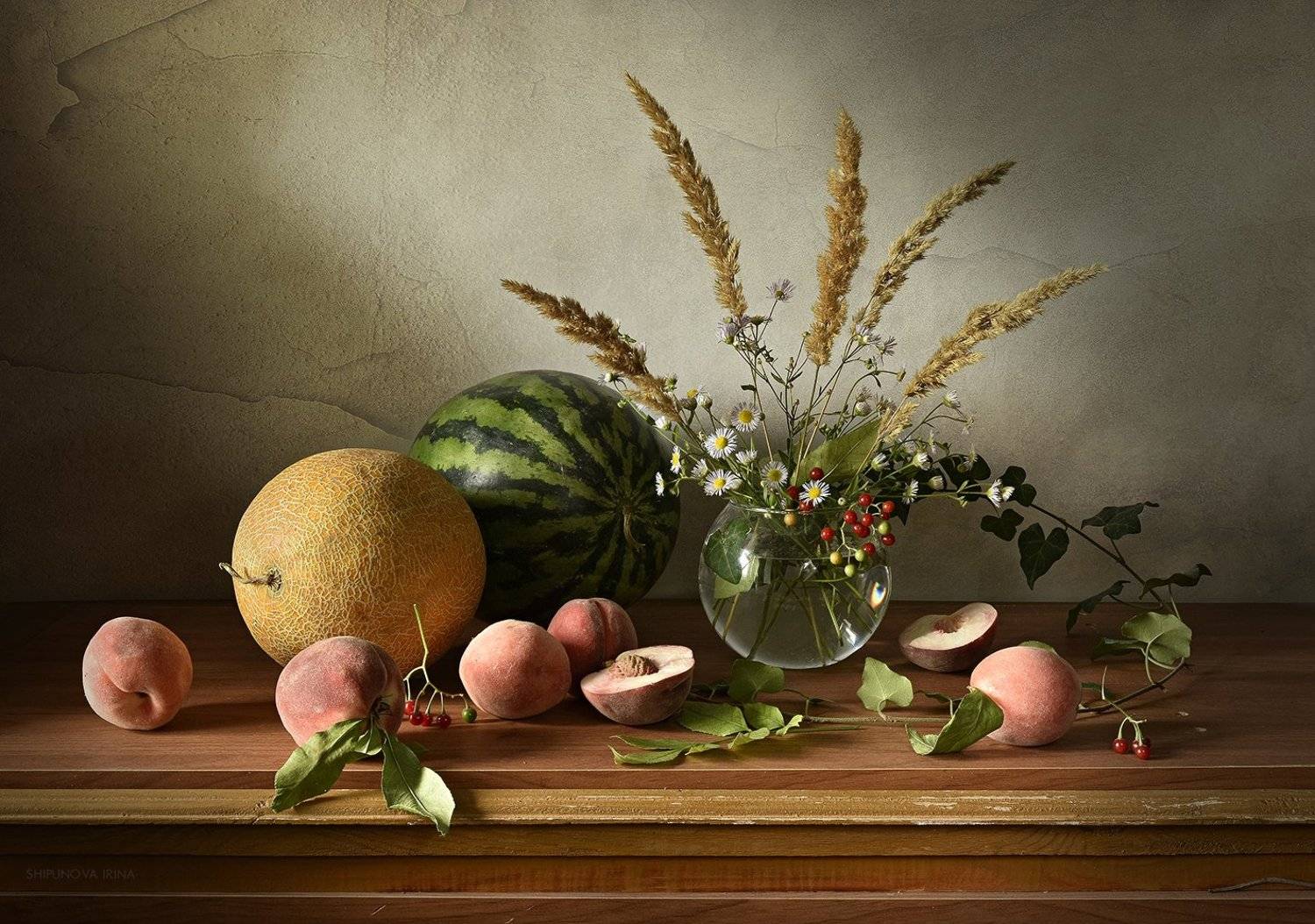 , Шипунова Ирина