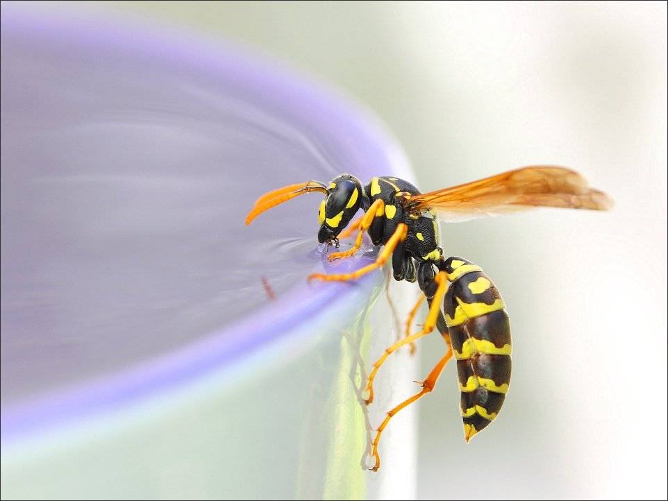 , Сергей Фудиненко