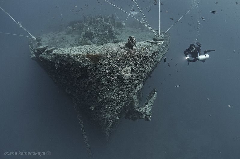 wreck thistlegorm underwater ship bow SS Thistlegorm #4. Нос корабля. фото превью