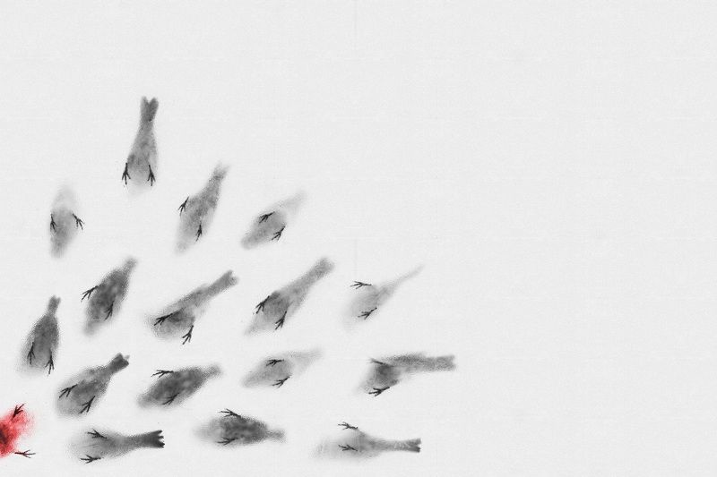 Cut Down фото превью