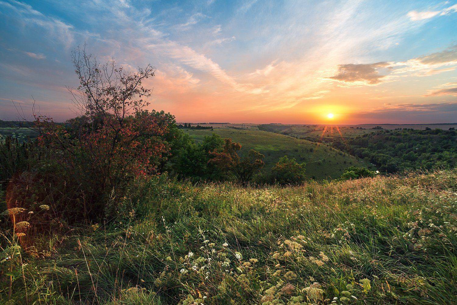 вечер,закат,воргол,лето, Андрей Cоколов