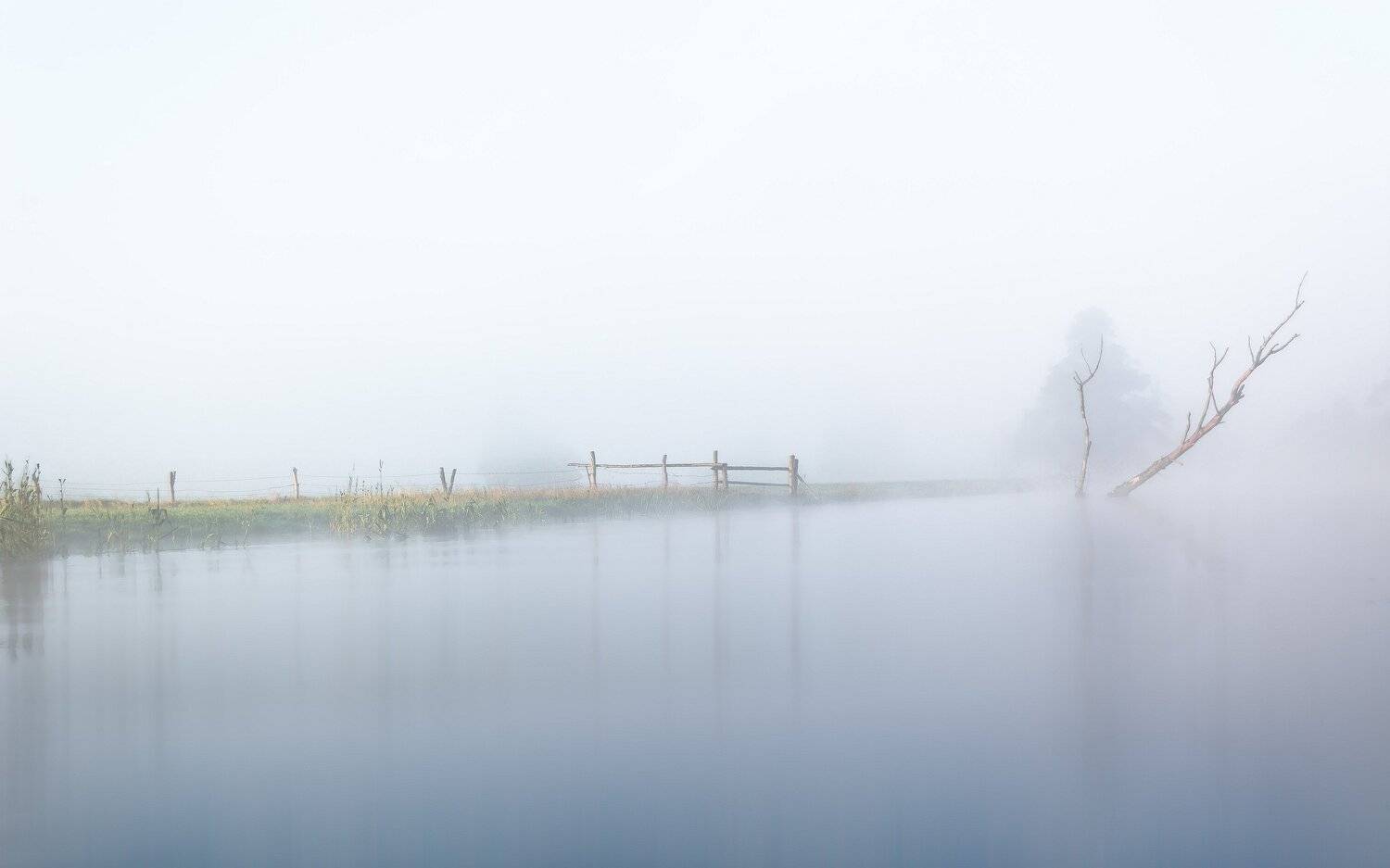 dawn,fog,sky,river,gwda,nature,landscape,tree,pasture,summer,nikon,water,, Krzysztof Tollas