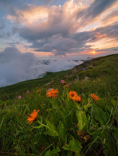 Вечерние букеты Гум-Баши
