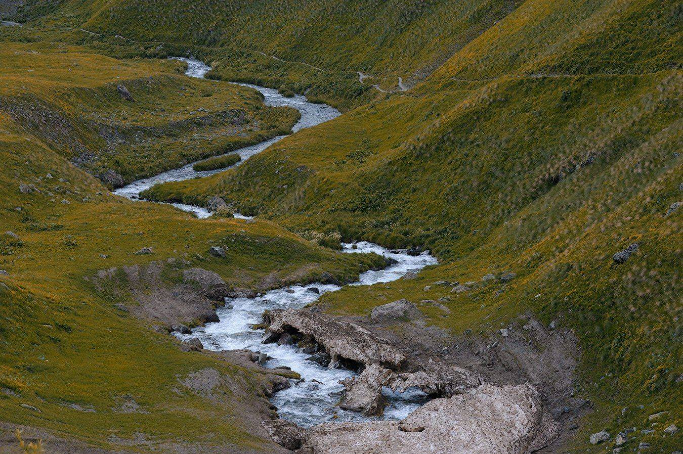 , Олег Логунов