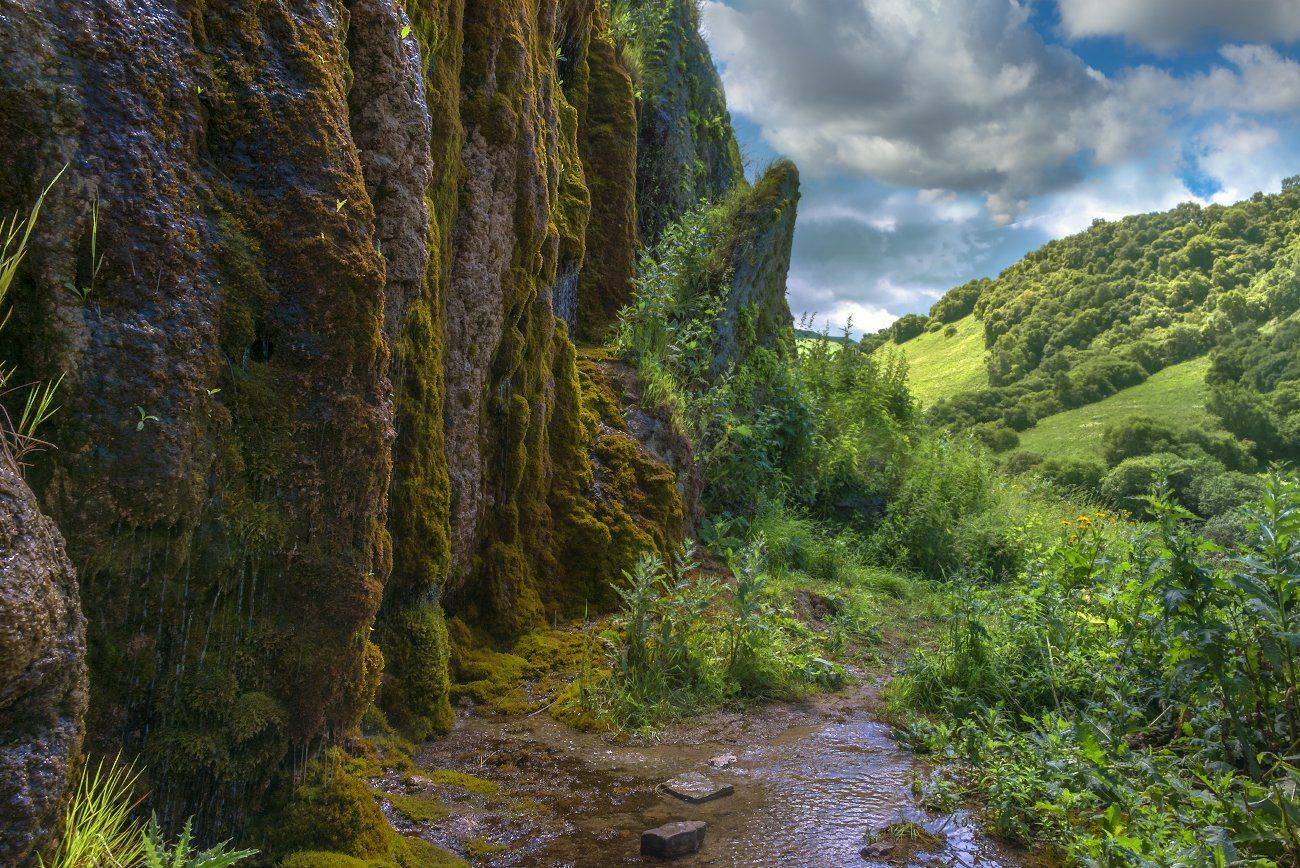 , Елена Брежицкая