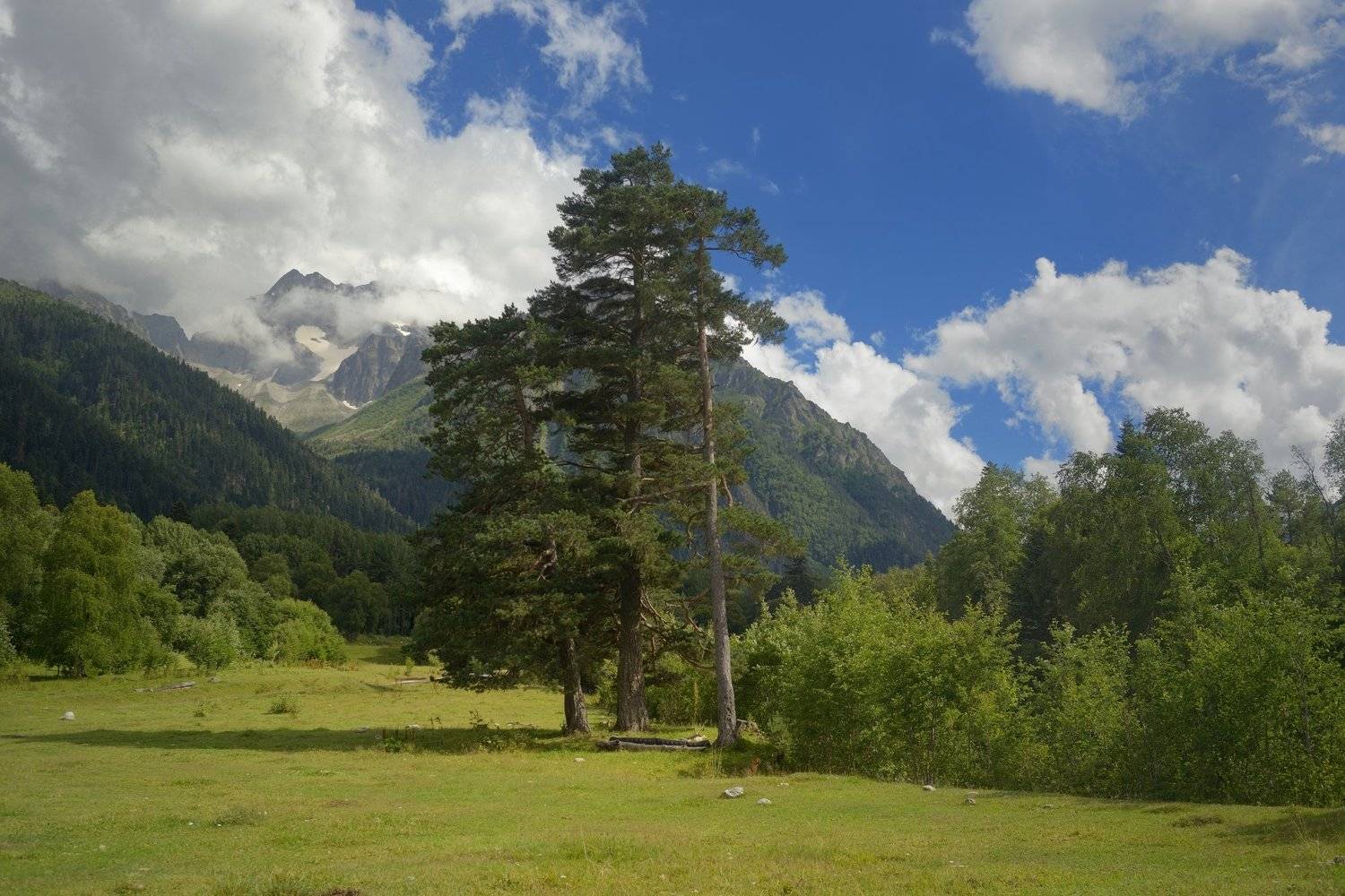 горы лето аксаут, Александр Жарников