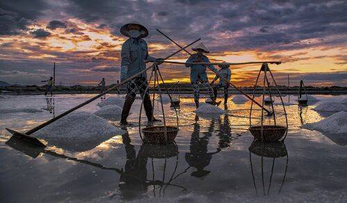 Salt field