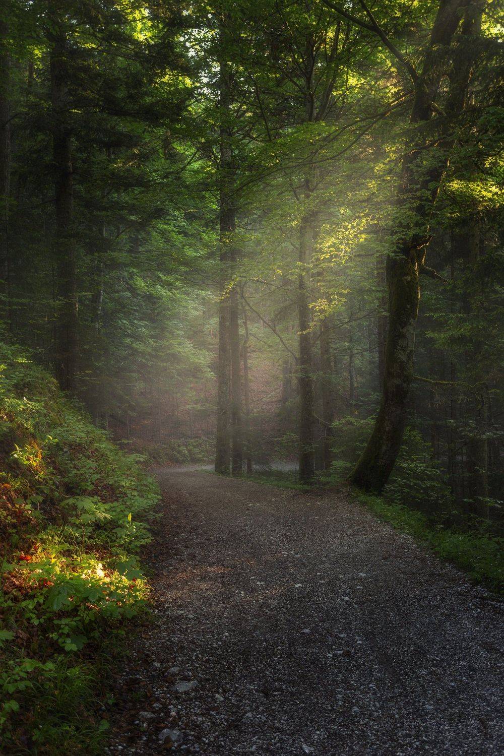 , Павел Попов