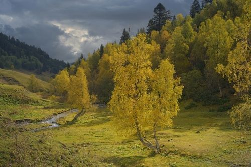 Осень в Архызе