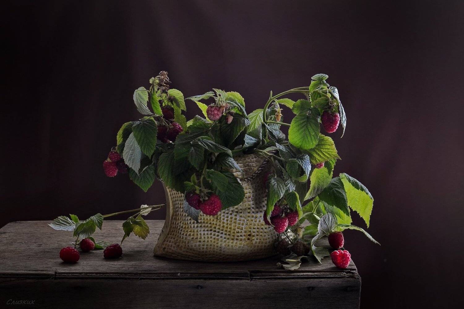натюрморт,букет,ягода,малина,лето, Инаида