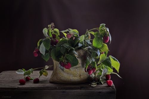 Малиновый букет