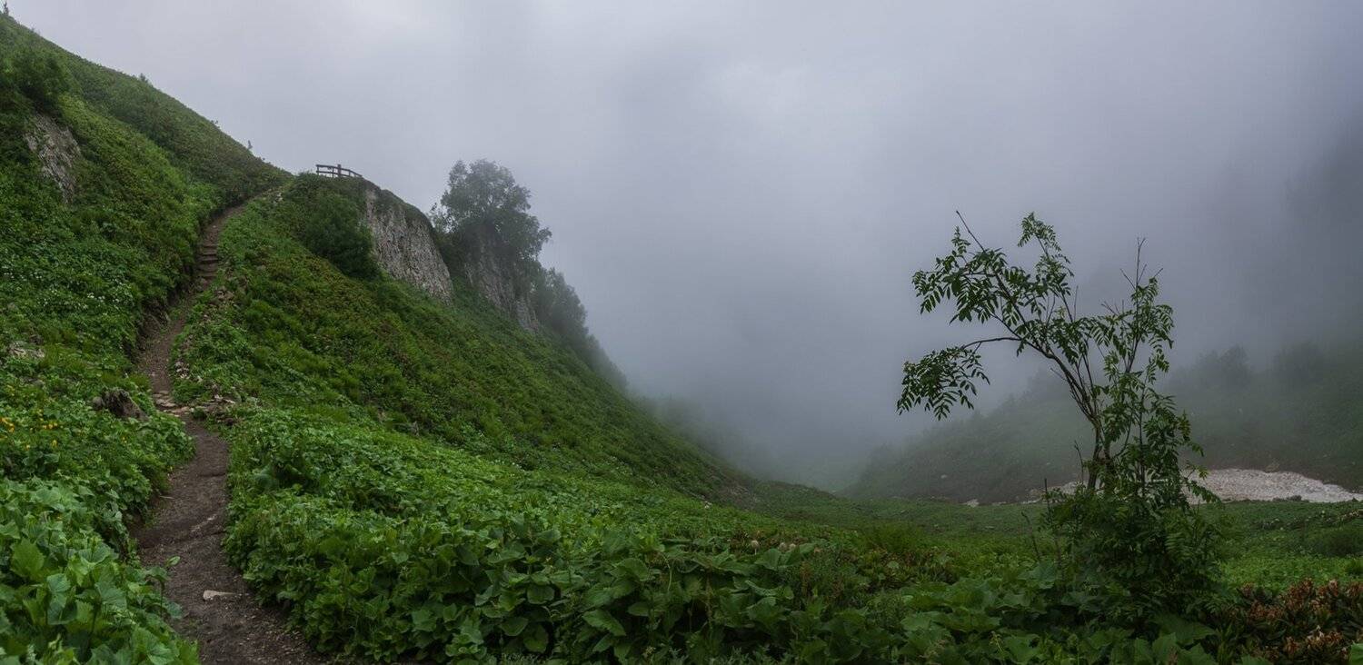 , Игорь Мелекесцев