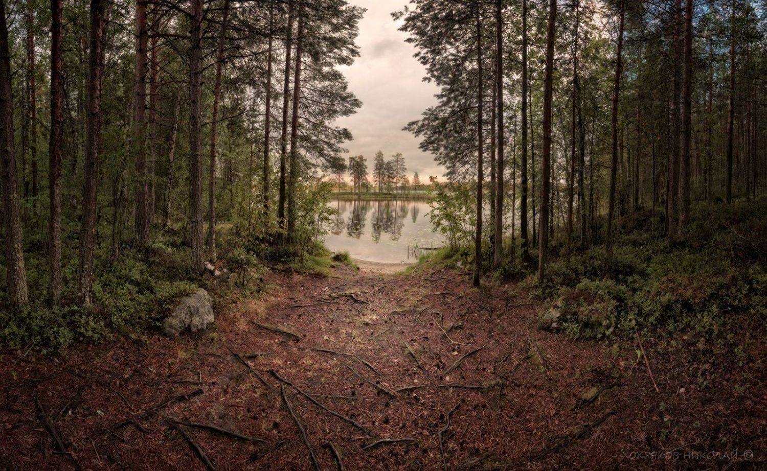 , Хохряков Николай