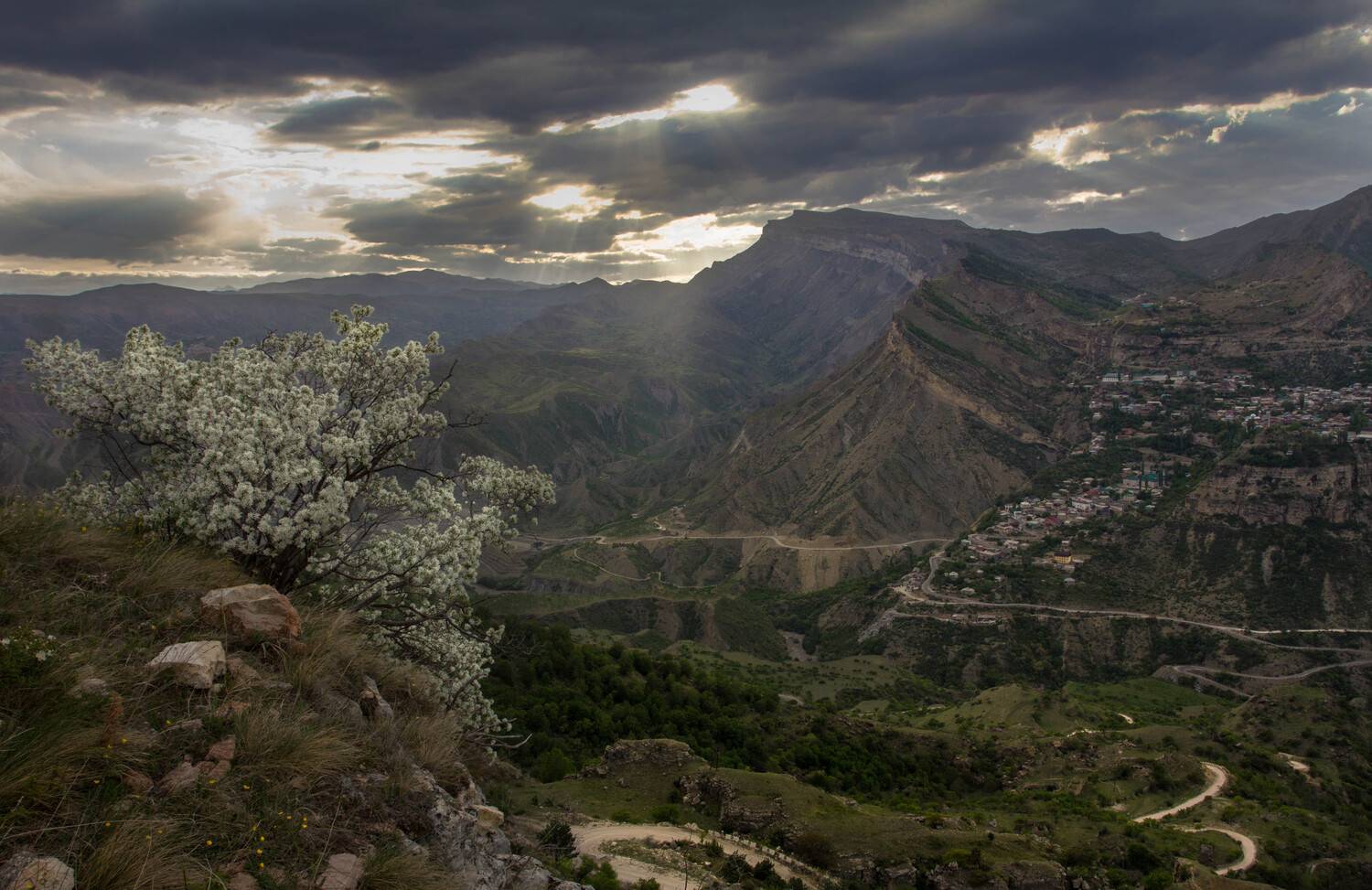 , Петрова Татьяна