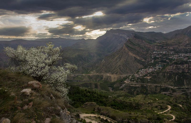 Май в Дагестане фото превью