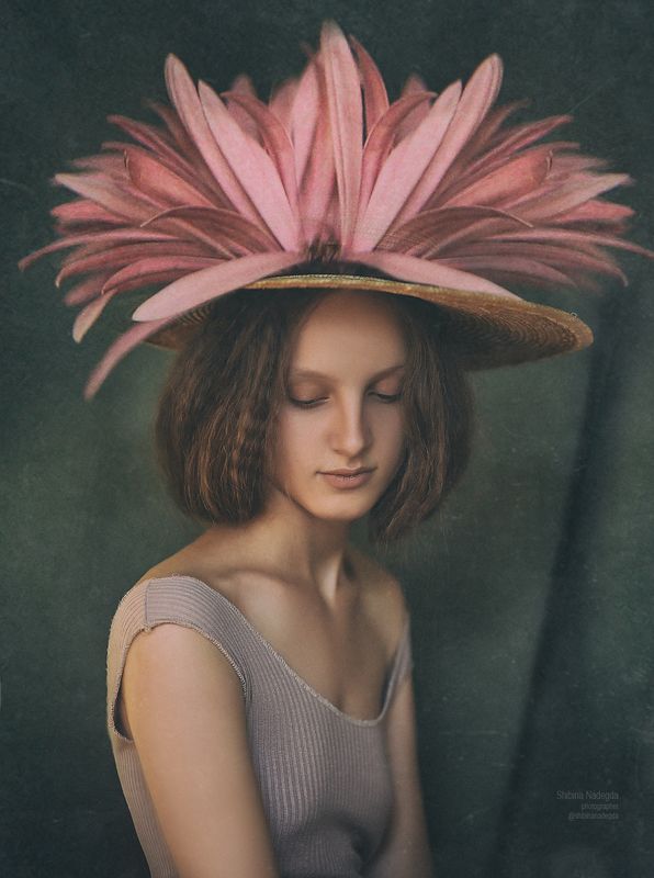 Гербераphoto preview