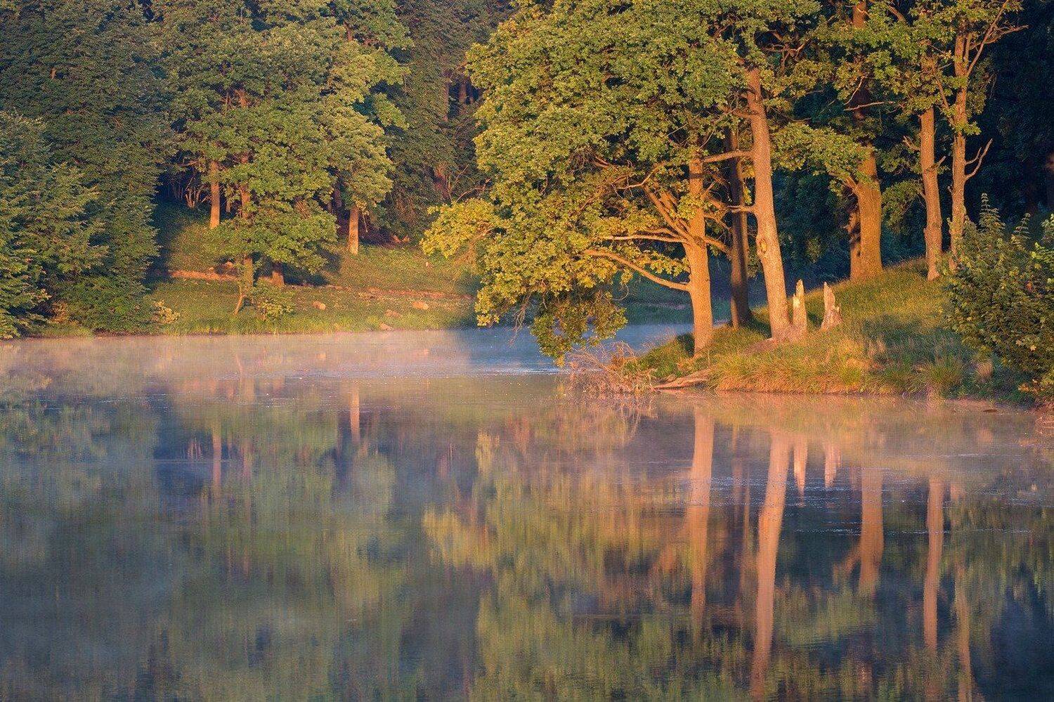 , Руслан Сигушин