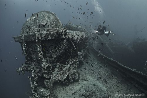 SS Thistlegorm #5. Железнодорожный вагон.