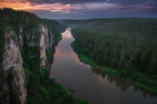 Черничным вечером
