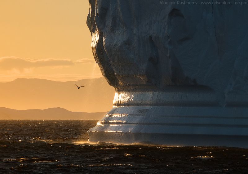 Light&Ice фото превью