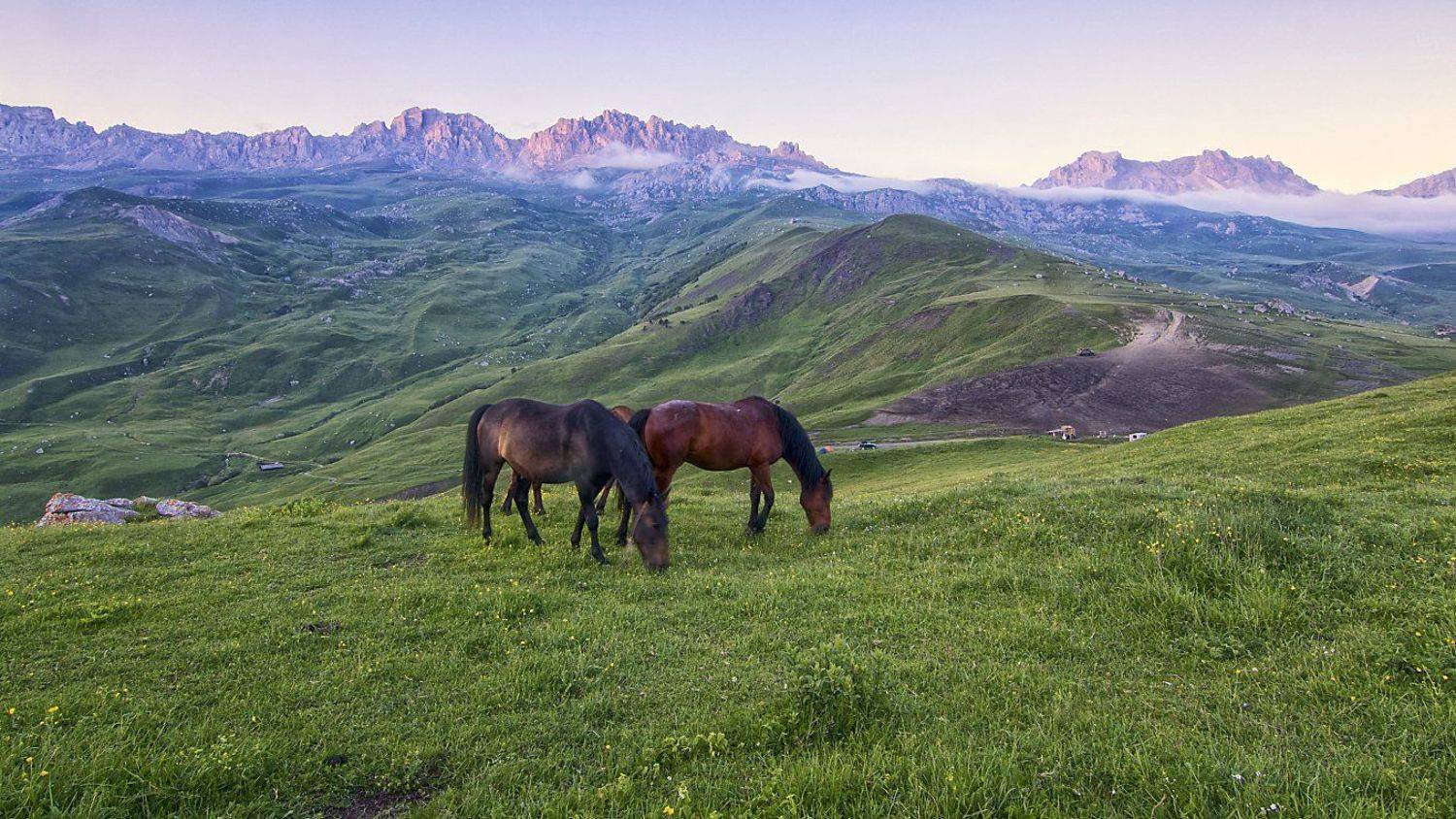 кавказ,горы,туман,лошади,палатка,внедорожник,стоянка пастухов., Анатолий Салтыков