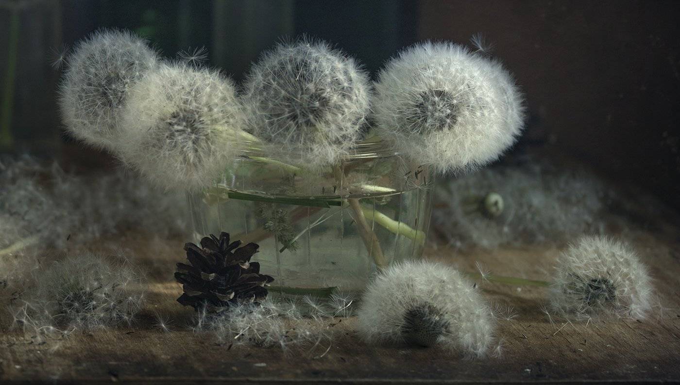 натюрморт,одуванчики, Елена Рубинская