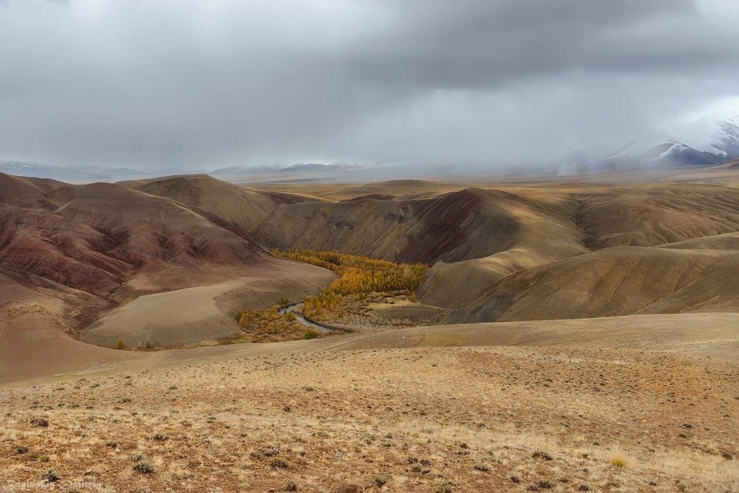 алтай, осень, горы, Dmitriy  Baginskiy