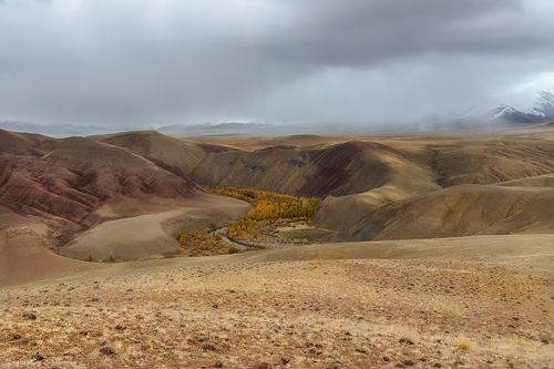 Просторы Алтая