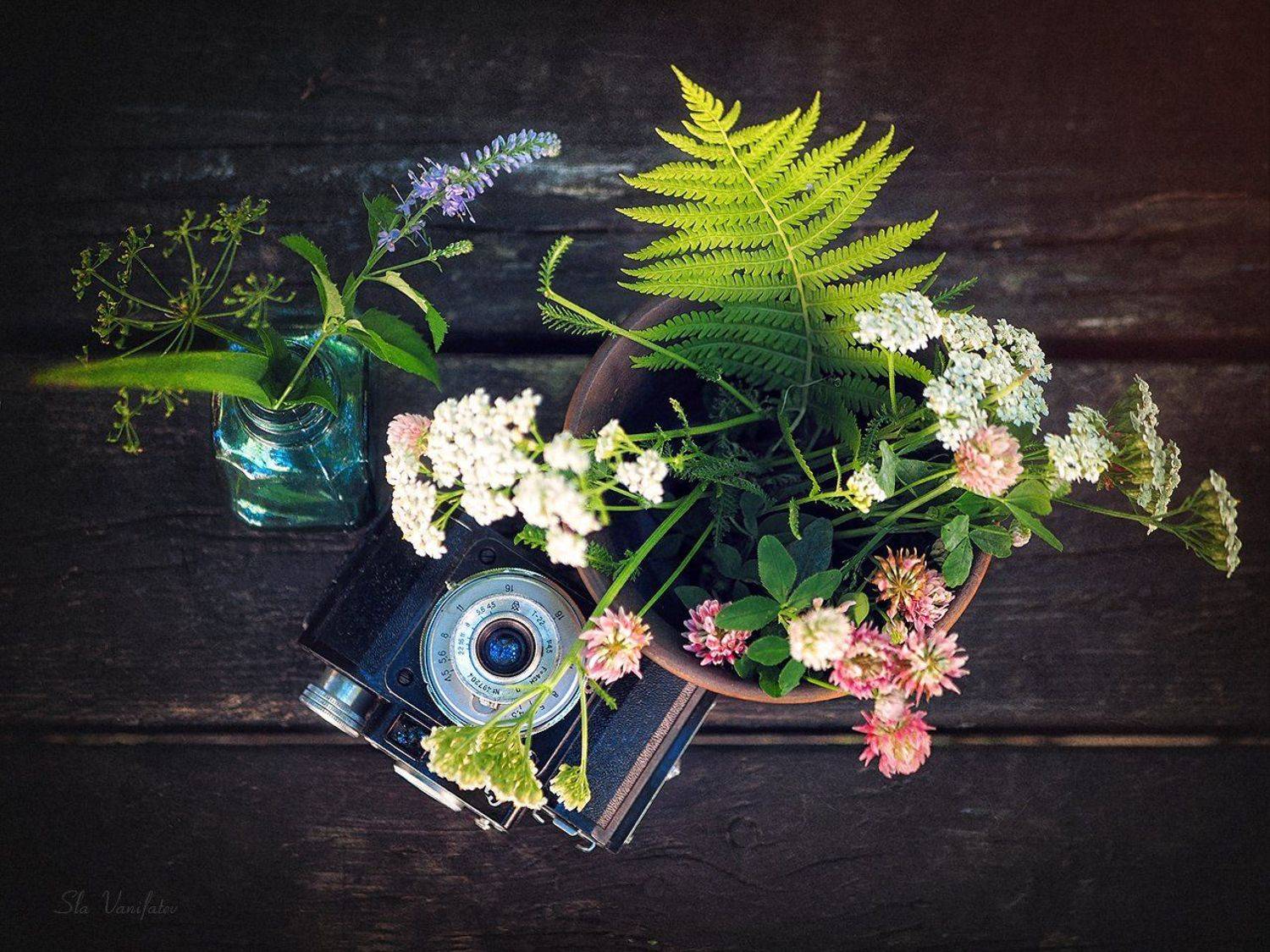 , Вячеслав Ванифатьев