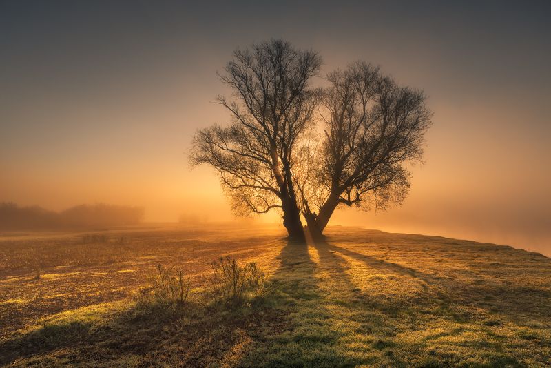 Golden hour фото превью