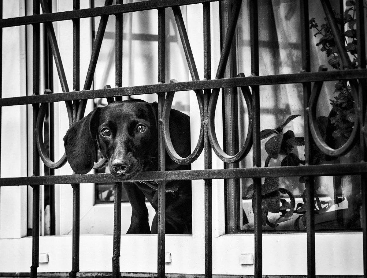 , Татьяна Аверина