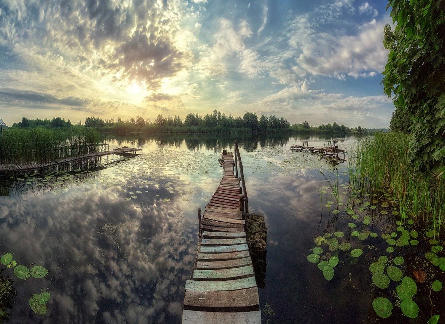 , Тимур Подколзин