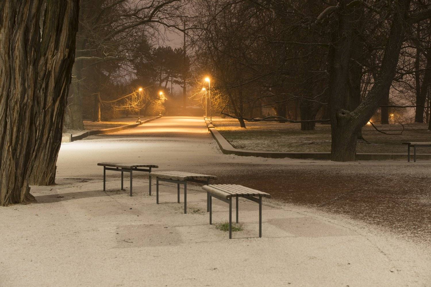 чехия, прага, Ирина