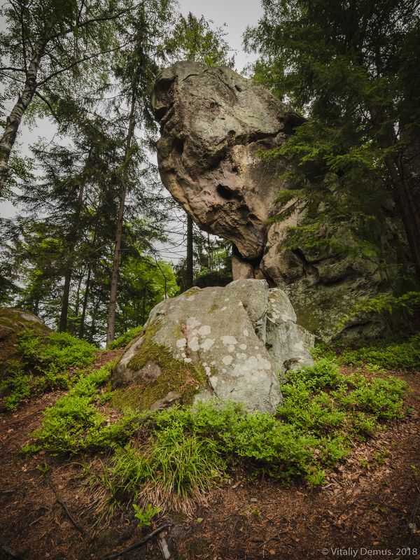 Лесной страж. Карпаты. Покуття. фото превью