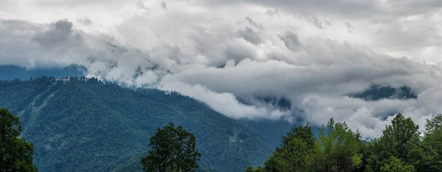 , Игорь Мелекесцев